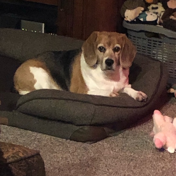 Meet your Posher, Brittney - Picture 11 of 15